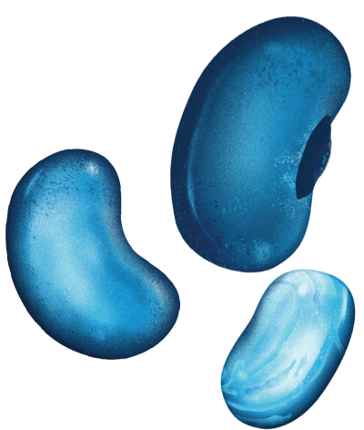 Beanitos Homepage – The Good Bean